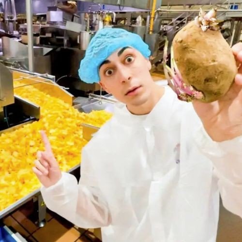 ¿Como se producen las papas que consumis?